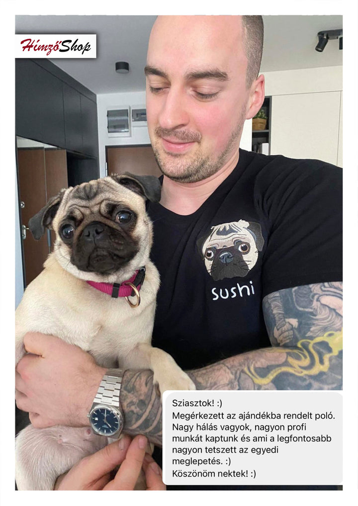 Pet - colorful