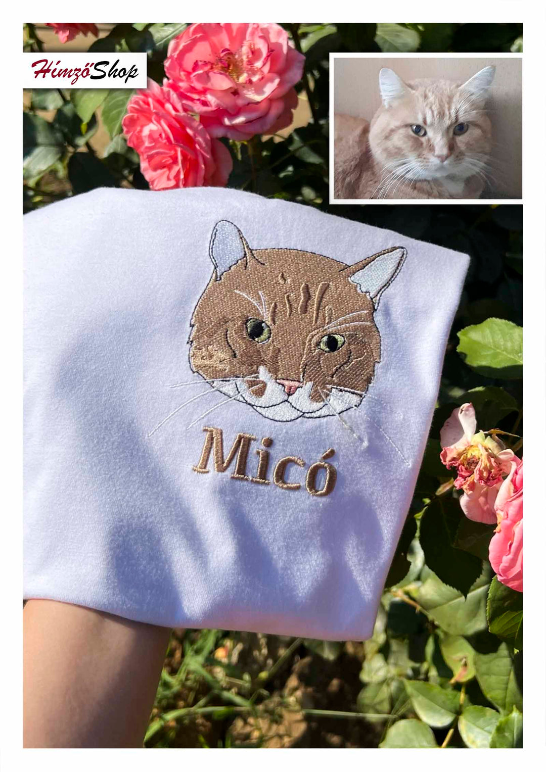 Pet - colorful