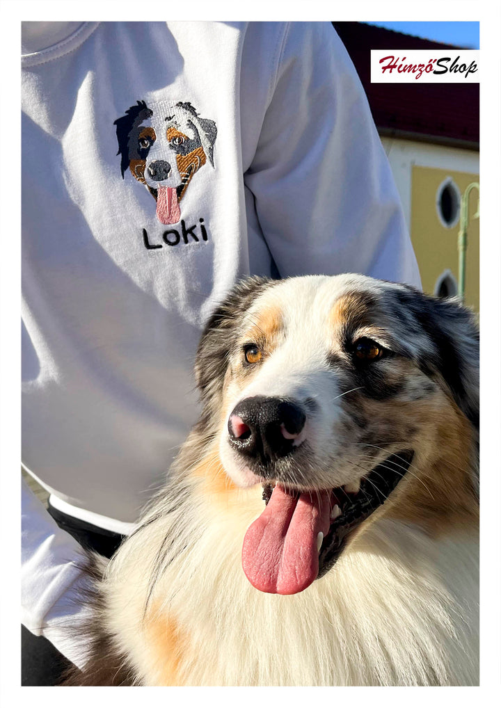 Pet - colorful