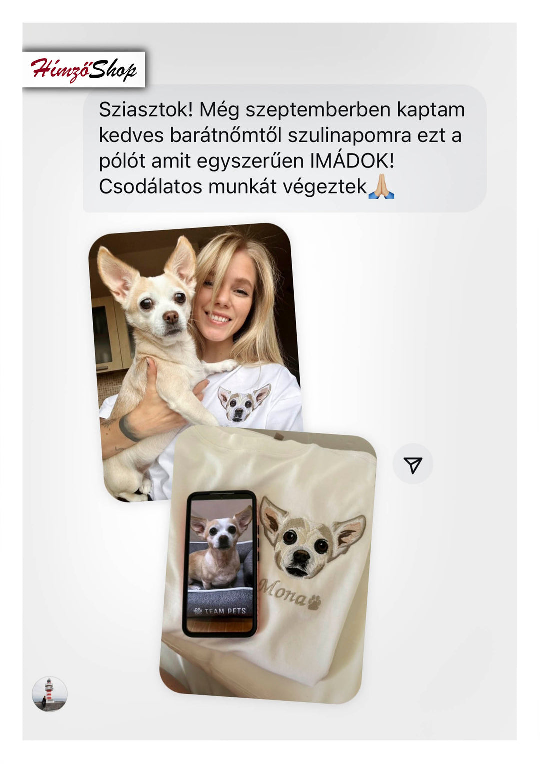Pet - colorful