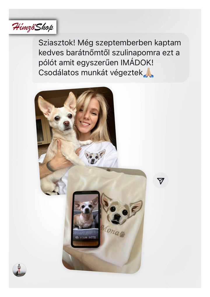 Pet - colorful