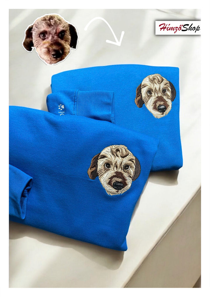 Pet - colorful