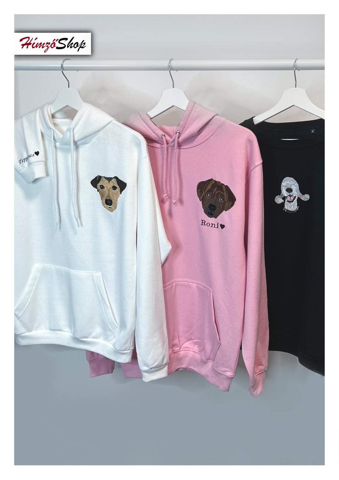 Pet - colorful