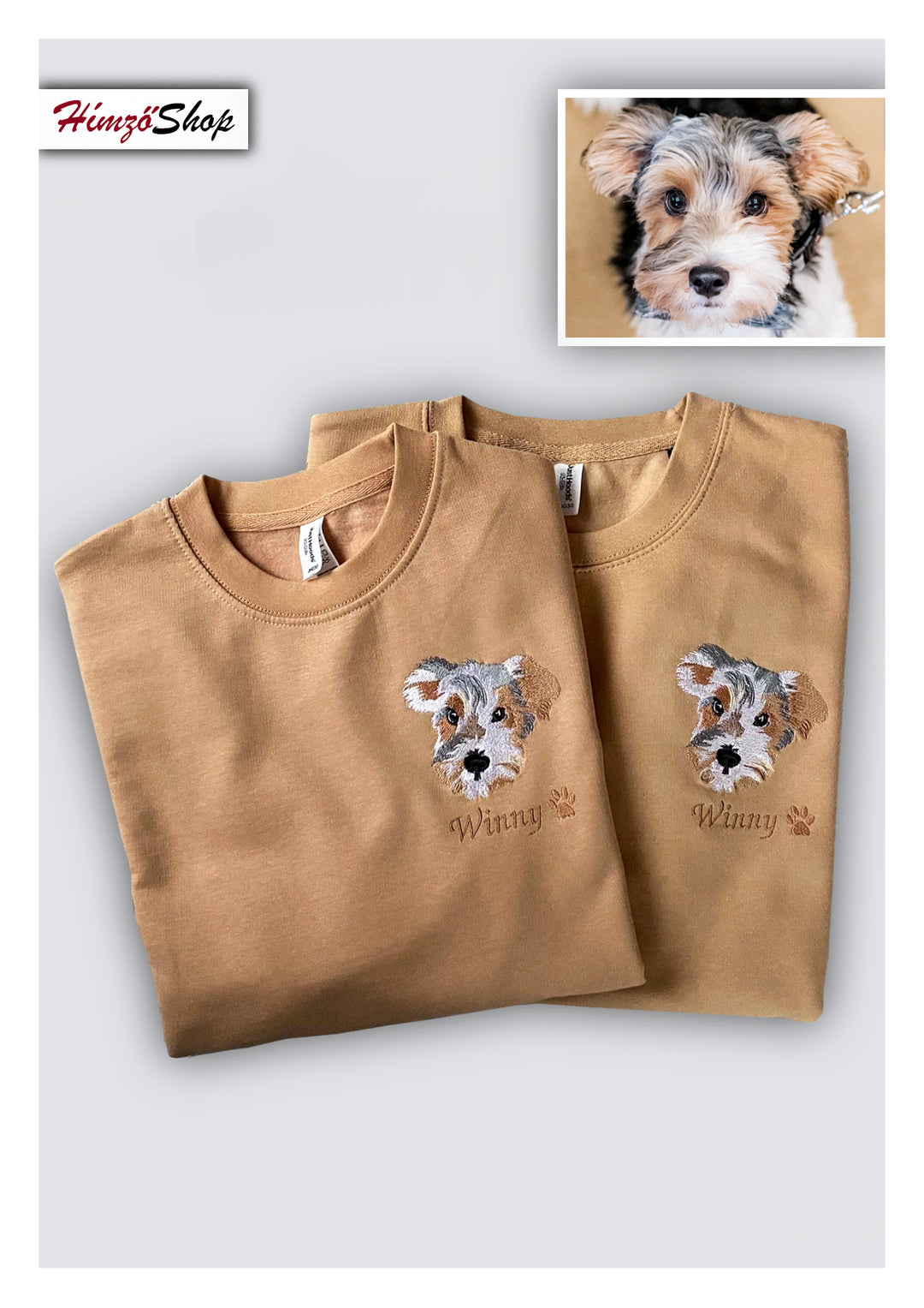 Pet - colorful